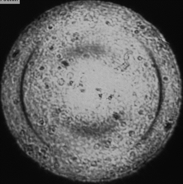 Пример результатов