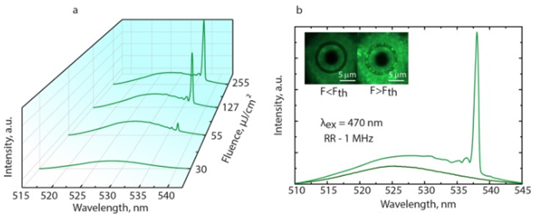 Пример результатов