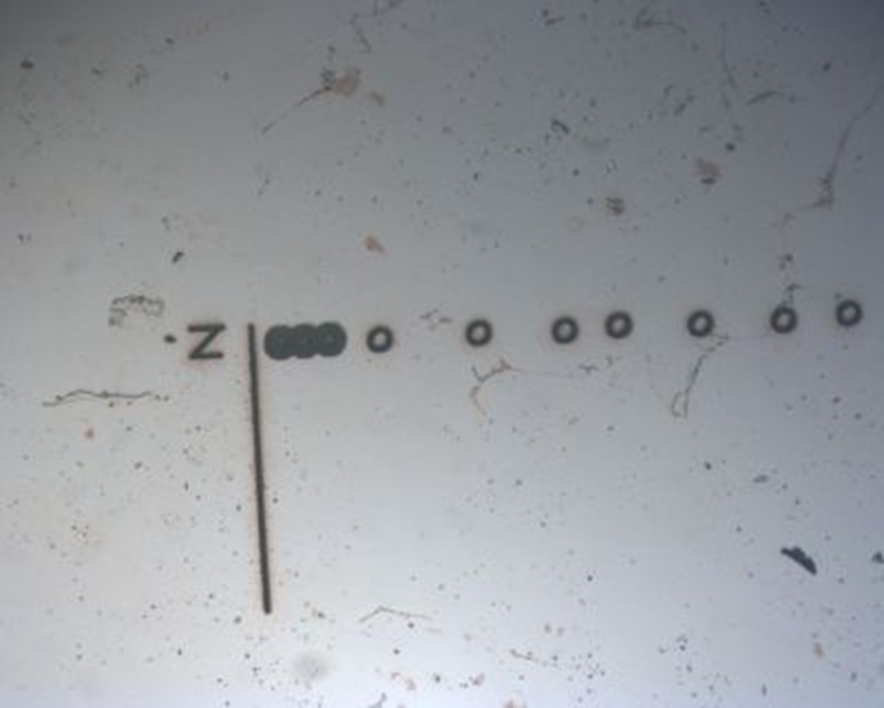 Пример результатов