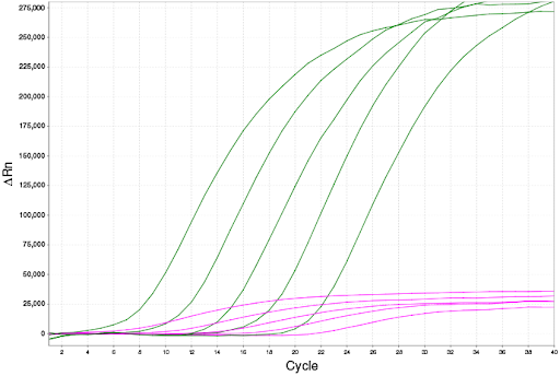 Пример работы