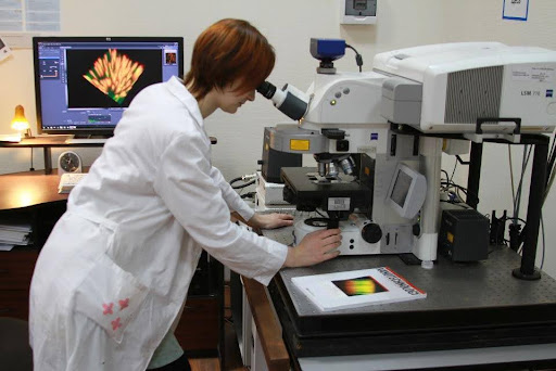 Конфокальный лазерный сканирующий микроскоп LSM 710