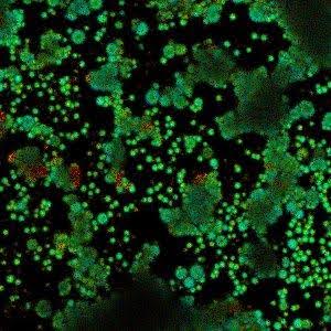 Пример результатов