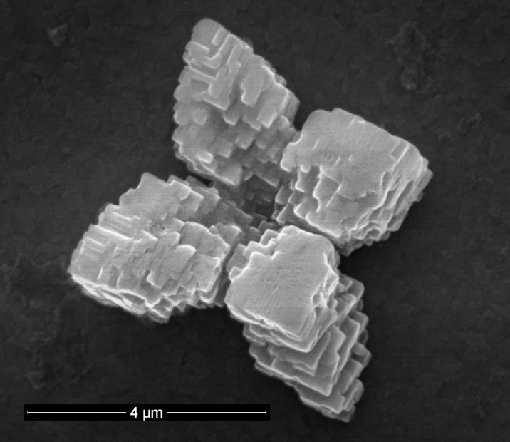 Пример результатов