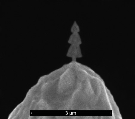 Пример результатов
