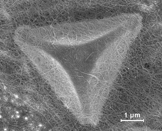 Пример результата