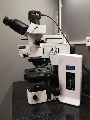 Поляризационный микроскоп для ортоскопических и коноскопических наблюдений Olympus BX51 с камерой