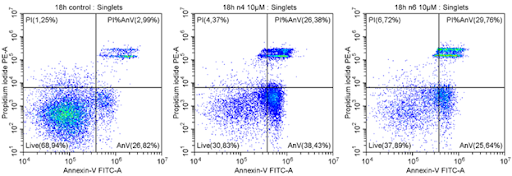 Пример результата