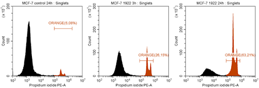 Пример результатов