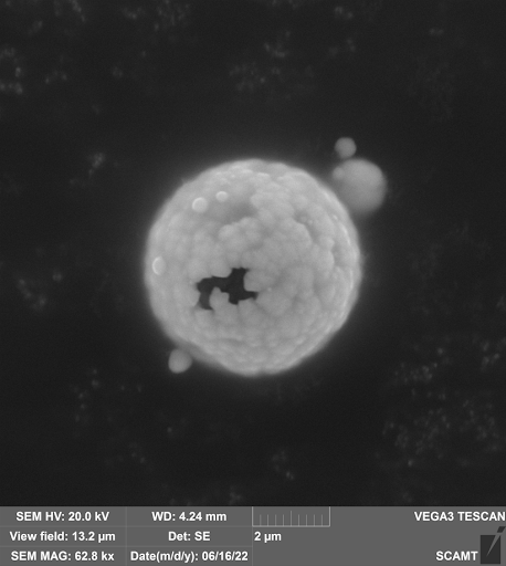 Пример результатов