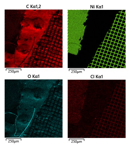 Пример результатов