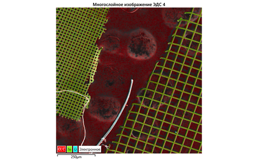 Пример результатов