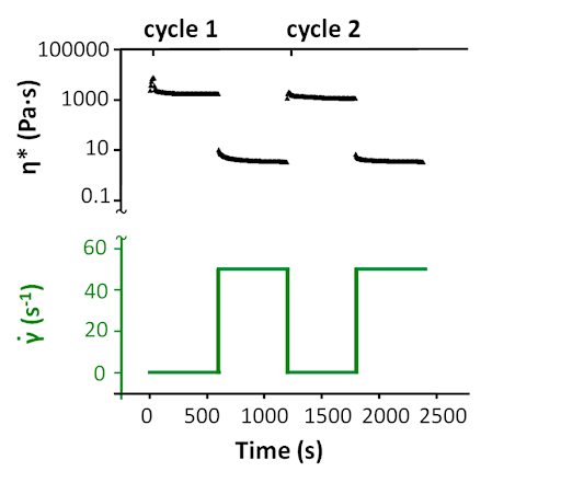 Пример результатов