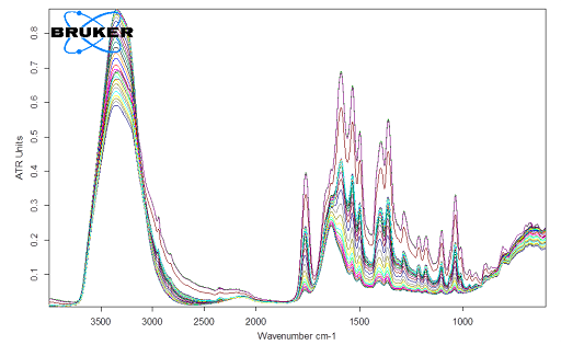 Пример результатов