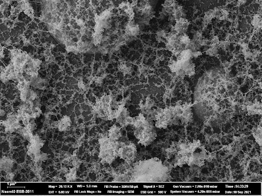 Пример результатов