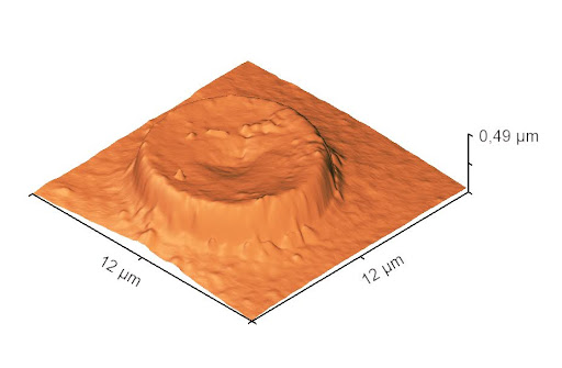 Пример результатов