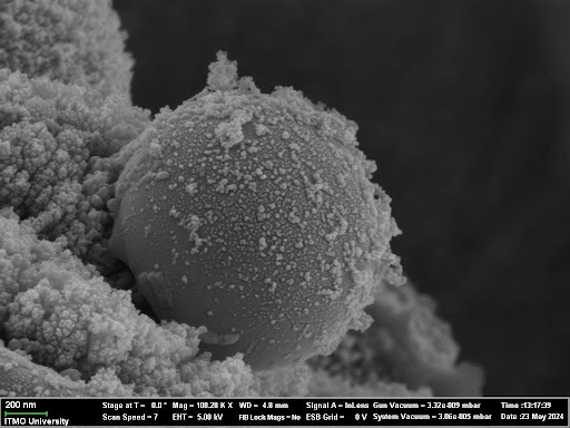 Пример результата