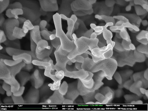 Пример результатов