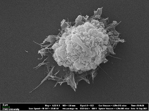 Пример результатов